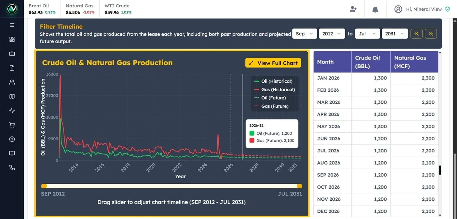 Well Report by Mineral View: Search Texas Oil Well Records
