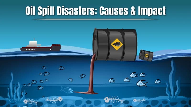 Oil Spill Disasters: Causes & Impact