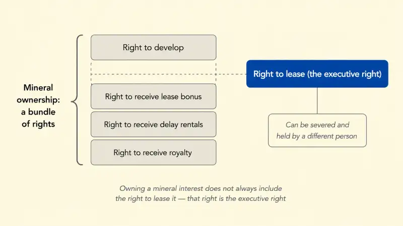 Executive Rights