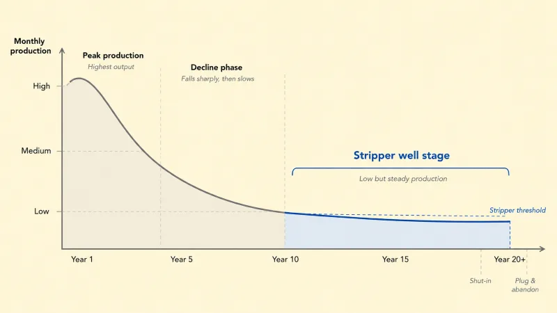 Stripper Well