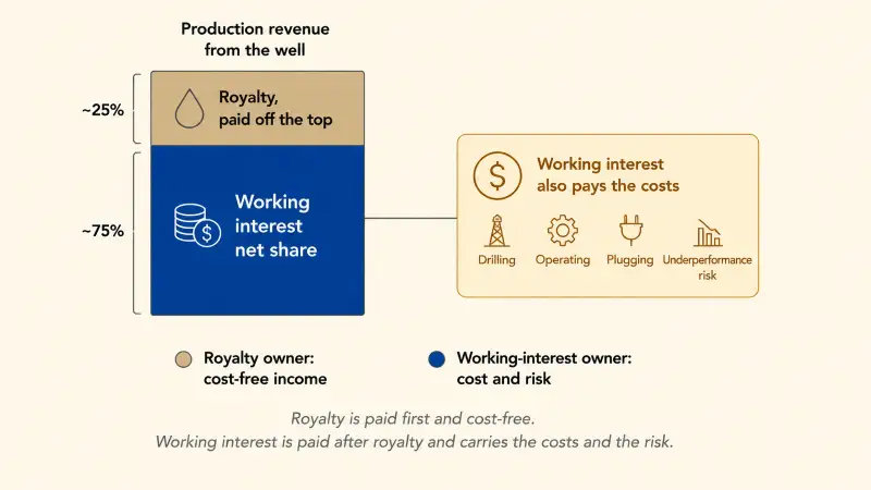Working Interest